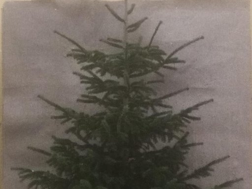 Christbaumkugel 2020